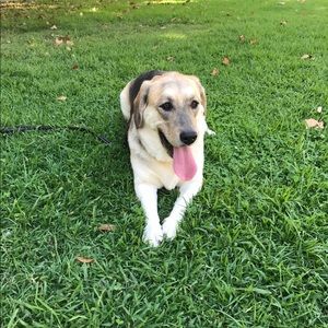 Meet your Posher, Dana